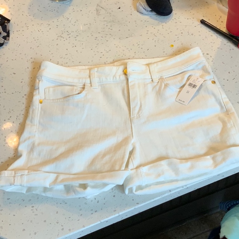 Anthropology shorts